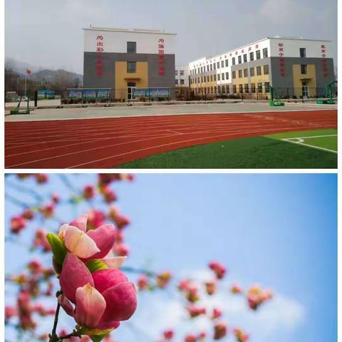 云上教研绽芳华———云蒙实验小学数学教研纪实