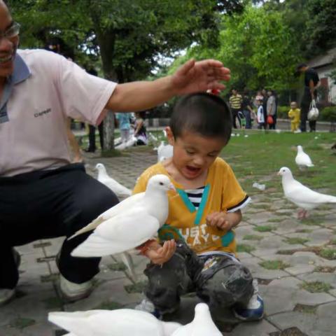 父亲，我心中的山