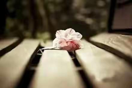 灵魂相似的人，总会相见