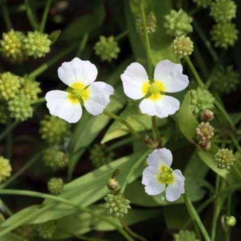 时间，让一切说真话