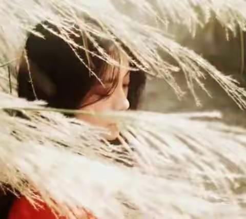 你陪我一程，我惦记一生。