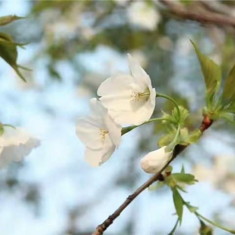 人怎样待我，我怎样待人。