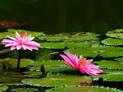 熬过去 你就赢了