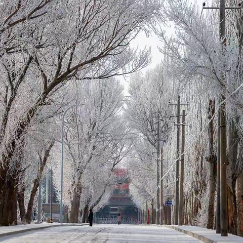 燃烧的雪花