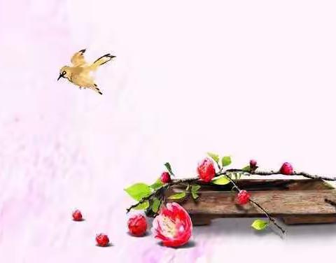 新建路小学富力华庭分校三年二班之首届“戏剧节”—走进瑰丽的戏剧世界