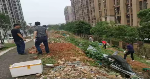 南庭社区|百日行动强推进 扮靓星城提品质