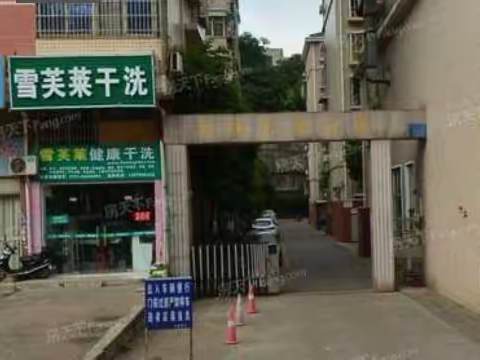 南庭社区|洁净雨花 从身边做起！