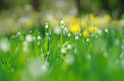 种下一个春天！