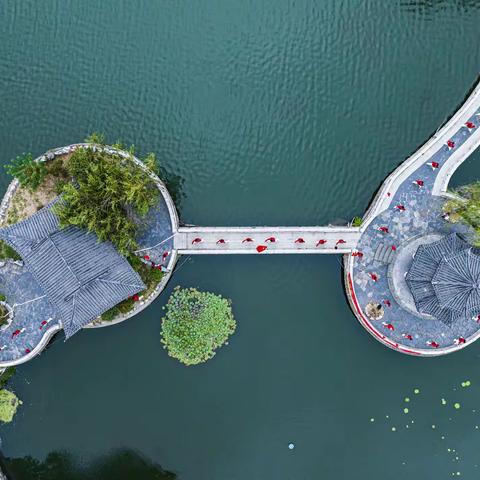 江 西 太 极 拳 协 会 ，八 一 公 园 拳 友 会