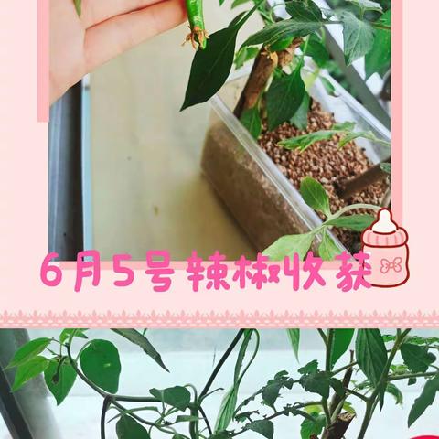 💋婷Q💋的美篇