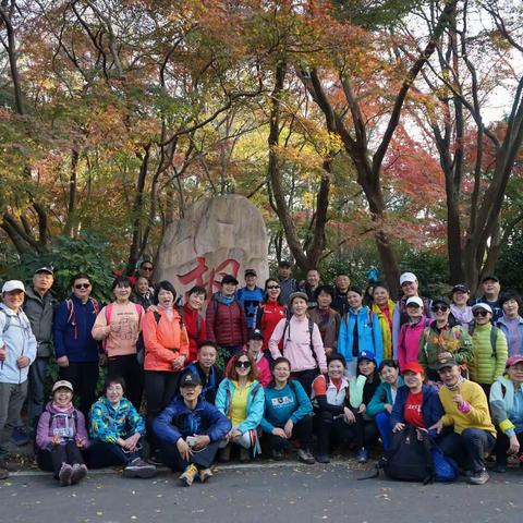 跟随龙队“寻紫金山深秋景色”户外行影集