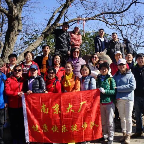 南京大厂徒步队“登山赏梅游紫金山风景区”户外活动掠影