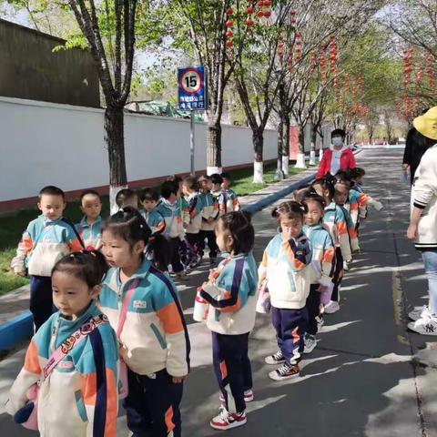 植物园~探索奇妙之旅                              空军医院幼儿园小一班