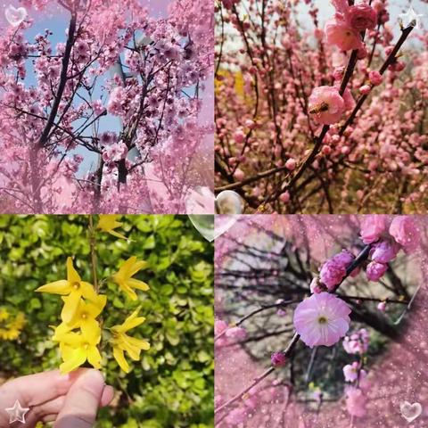 家校“云”相聚，携手助成长！——庆云四中（北校区）5.8中队家长进课堂活动