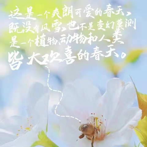 周末欢乐多，静待花开日！——庆云四中（北校区）5.8中队学生周末生活纪实