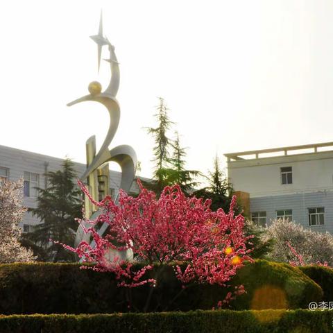 彰显职教特色，锻造大国工匠，——庆城职业中专2021年招生专业介绍