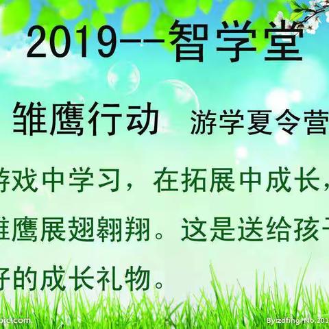 2019年——智学堂雏鹰行动游学营（七天六夜）