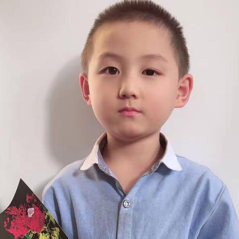 爱幼赞博远幼儿园礼赞一班 李阳龙成长档案