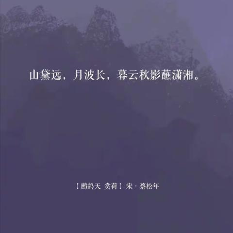 但行前路，不负韶华—记菏泽市实验中学初二语文组第四次教研活动