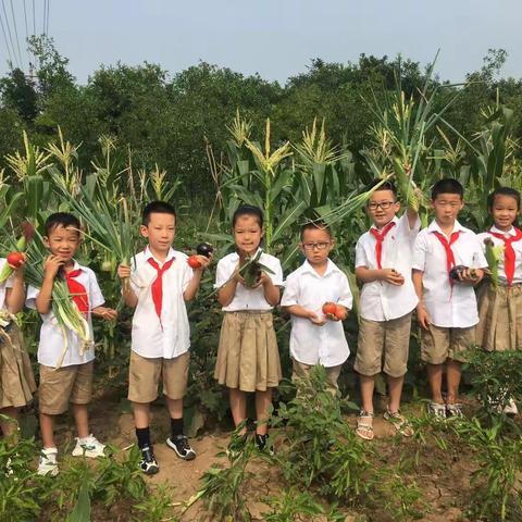 “春华秋实，厚积薄发”记录一年级一班宋环实践种植基地活动。