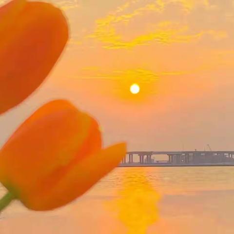 除了OFFER，我一无所有