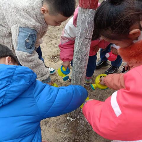 相逢植树节 爱在春天里——城南小学幼儿园大一班植树节活动