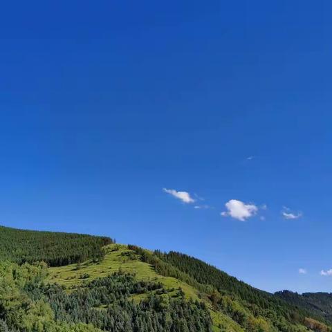 文襄华夏，诗颂江山“诗词楹联文化进万家”巡展征集函