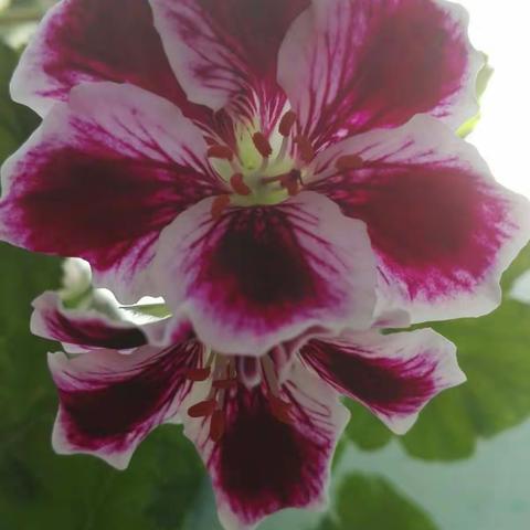 2017西联教育谱新篇