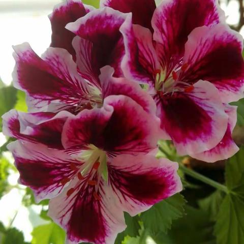 给自己一个好心情