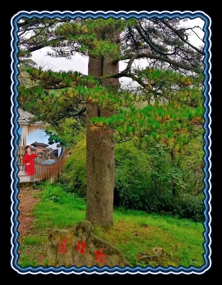 我就是我的美篇