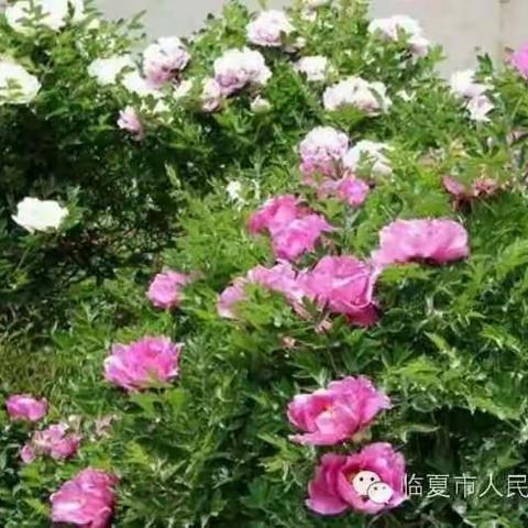 我的美篇