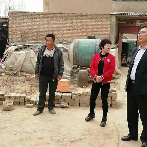 州督查组督查道家村工作