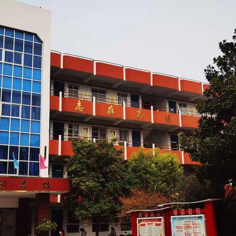 立足常规抓教学   业务检查促提升——淮阳区龙湖小学业务检查纪实