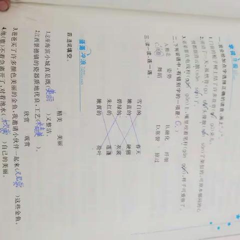 王思语语文暑假作业