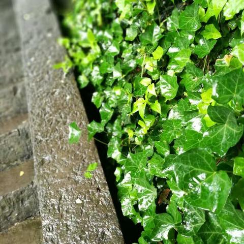 不只是一趟旅行