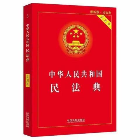 美好生活    法典相伴——西集镇中心小学开展民法典宣传活动