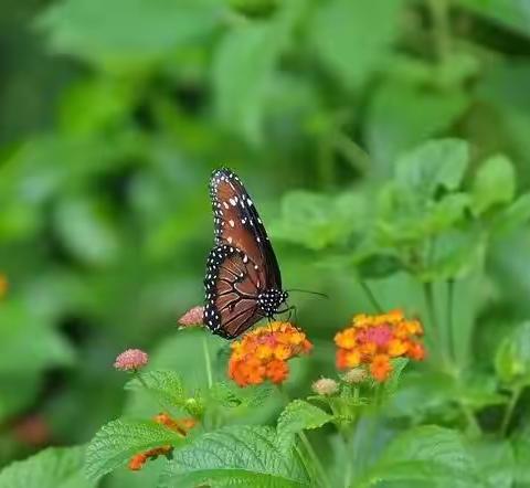 【家园共育】春分时节，孩子的衣食住行需要注意这些问题