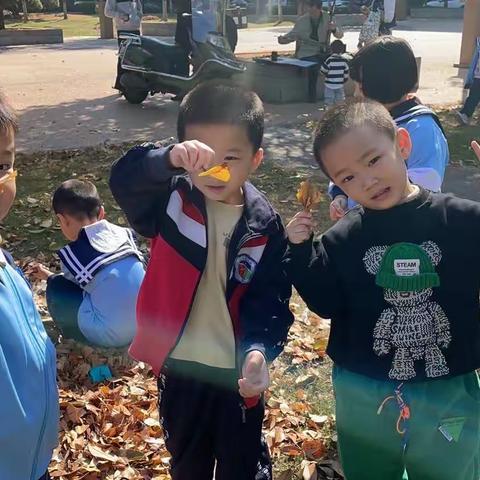 元培幼儿园（太阳广场园）大班幼儿11月初生活记录