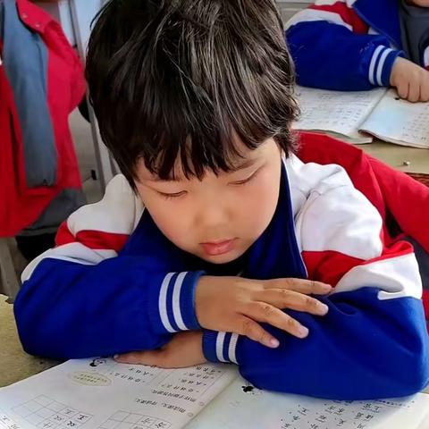 博雅民族学校一年级－－晨读习惯的养成教育