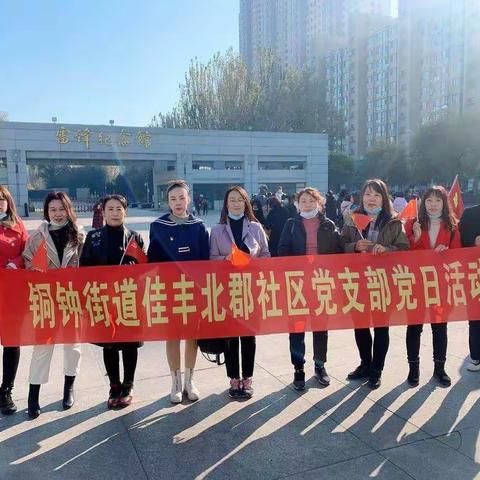 铜钟街道佳丰北郡社区11月份党日活动