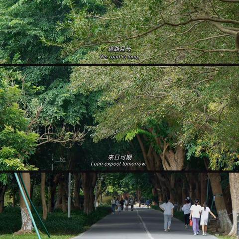 书香光影，秋日悦读