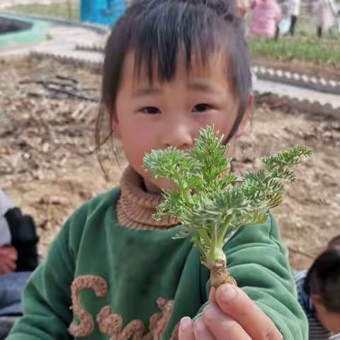 徐幼自然教育节气系列课程 | 微雨众卉新 一雷惊蛰始