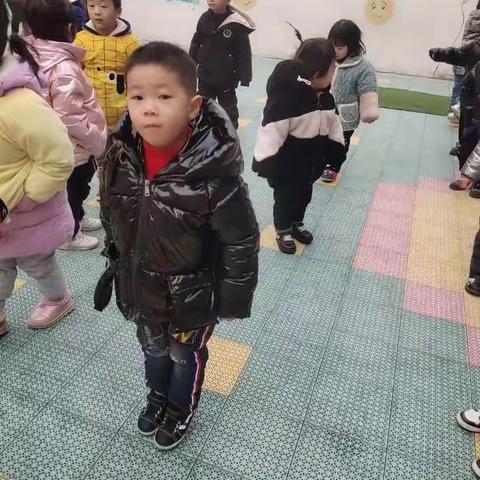 新星幼儿园一周回顾