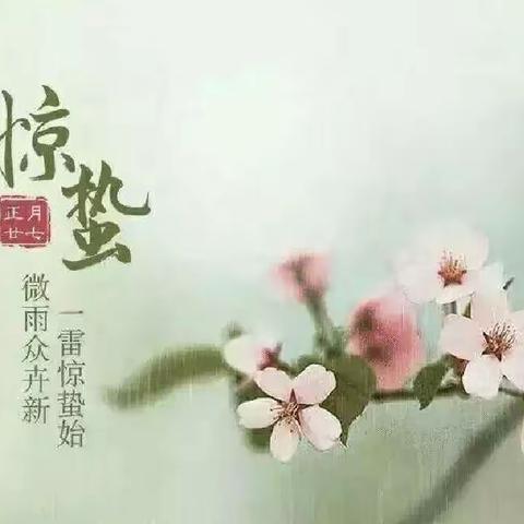 “虫儿醒  闹惊蛰，幼儿园里欢乐多”——宝丰县博诚幼儿园惊蛰节气专题教育之惊蛰