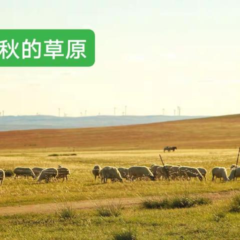 我和草原有个约定，陪你一起看草原