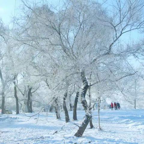 踏雪寻梦&雾凇奇观