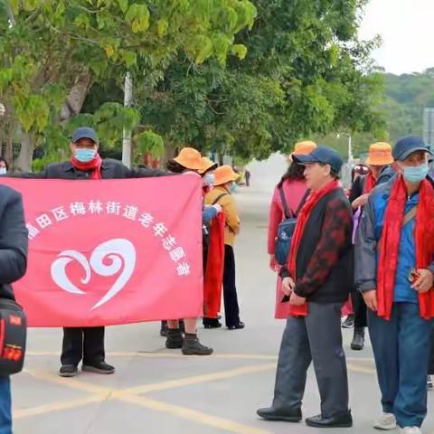 梅林街道老年协会在大鹏学习之余畅游所城記买