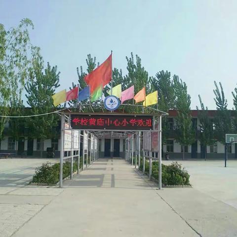 柳屯镇黄庙中心小学欢迎您