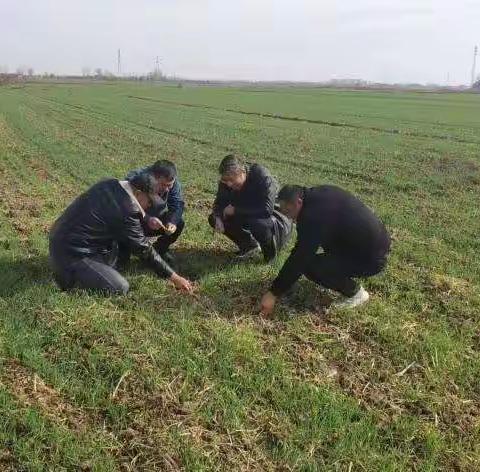 “大托管”工作开局良好