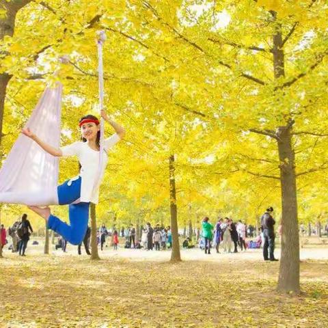 婵一瑜伽相约银杏林